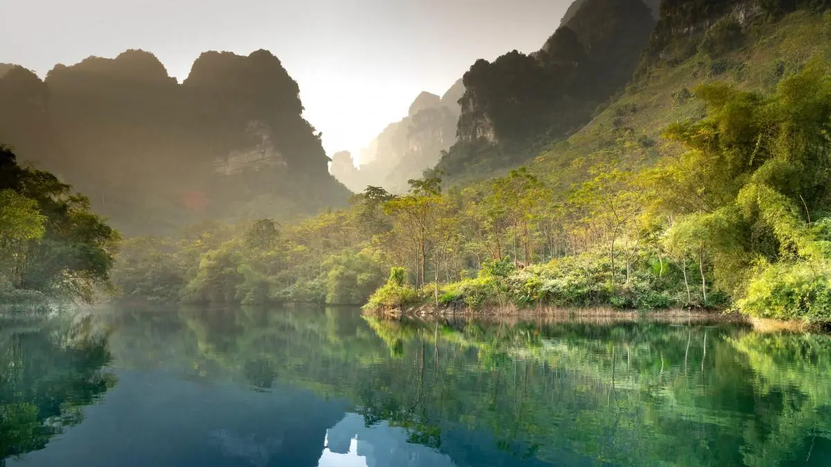 创意高端